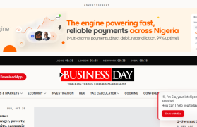 BusinessDay Nigeria