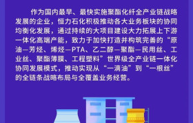 恒力石化董秘李峰: 公司PTA业务 行业最强