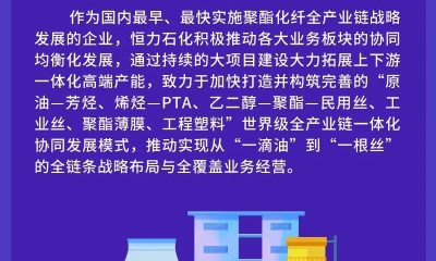 恒力石化董秘李峰: 公司PTA业务 行业最强