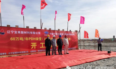 辽宁宝来60万吨/年PDH装置（A5）标段举行开工仪式