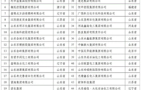 2020石油和化工民营企业百强公布（附名单）